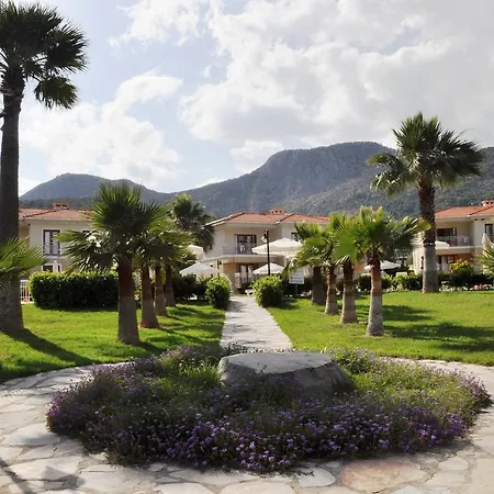 Alinn サルゲルメ