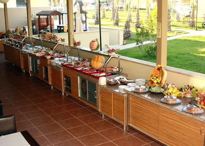 Alinn サルゲルメ